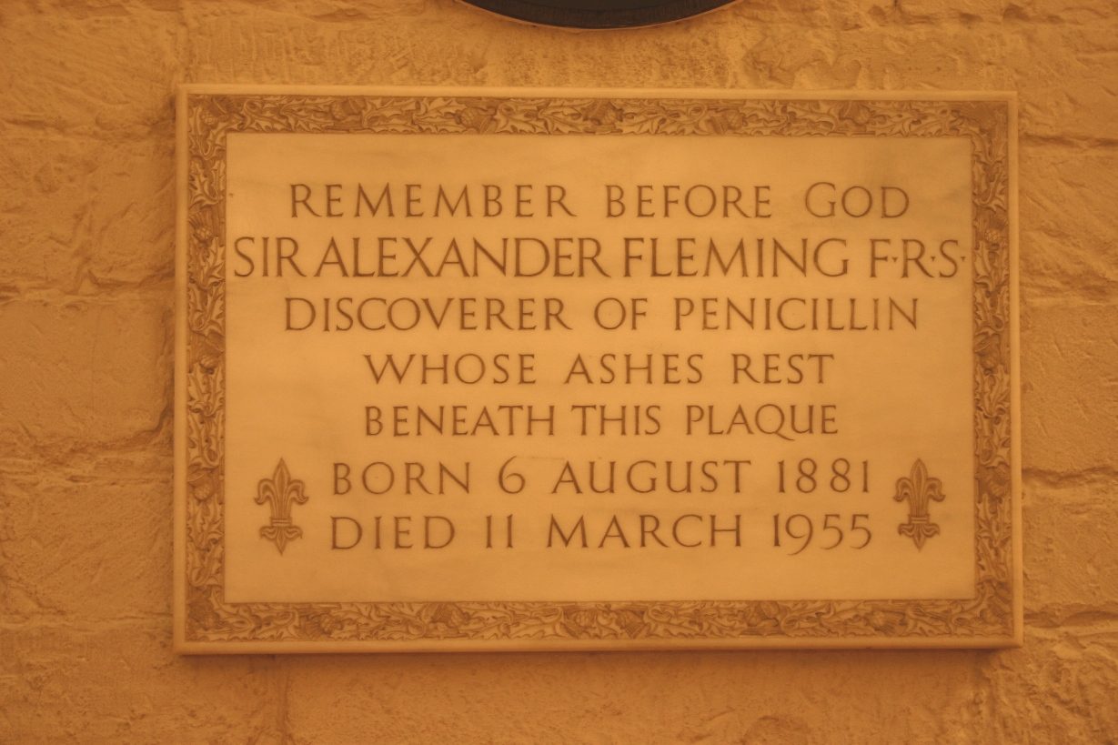 Alexander Fleming's tomb, St Paul's Cathedral, London - 02.JPG